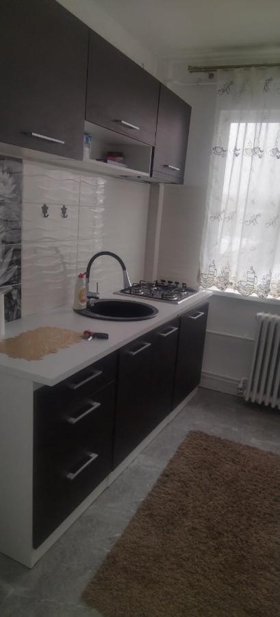 Apartament Διαμέρισμα Ιάσιο Εξωτερικό φωτογραφία